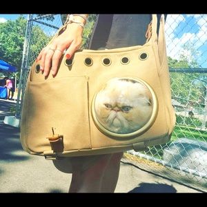 U-Pet bubble carrier cats and dogs